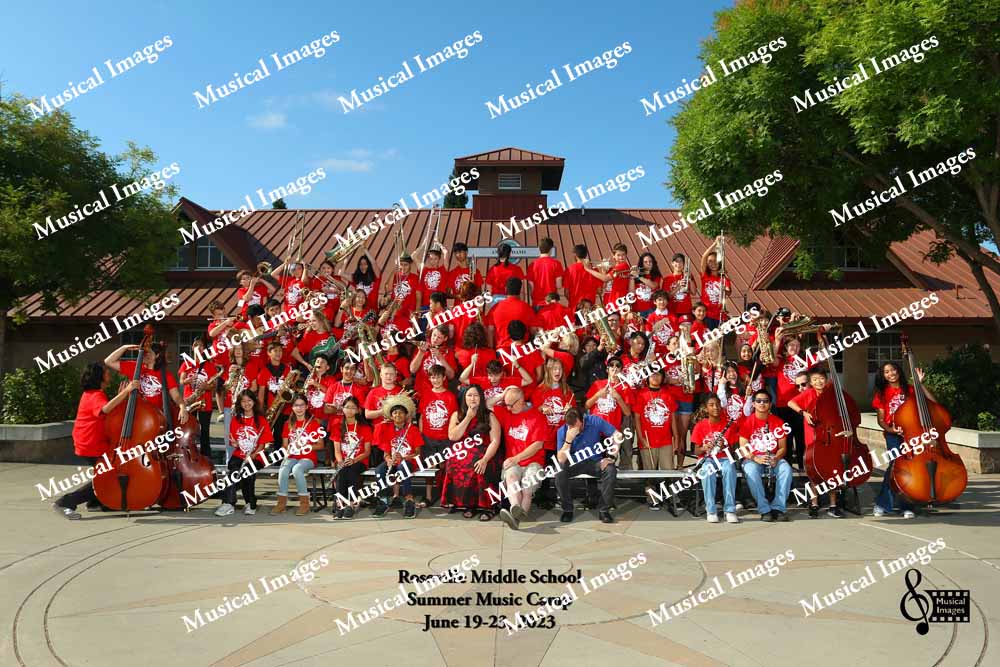Musical Images
